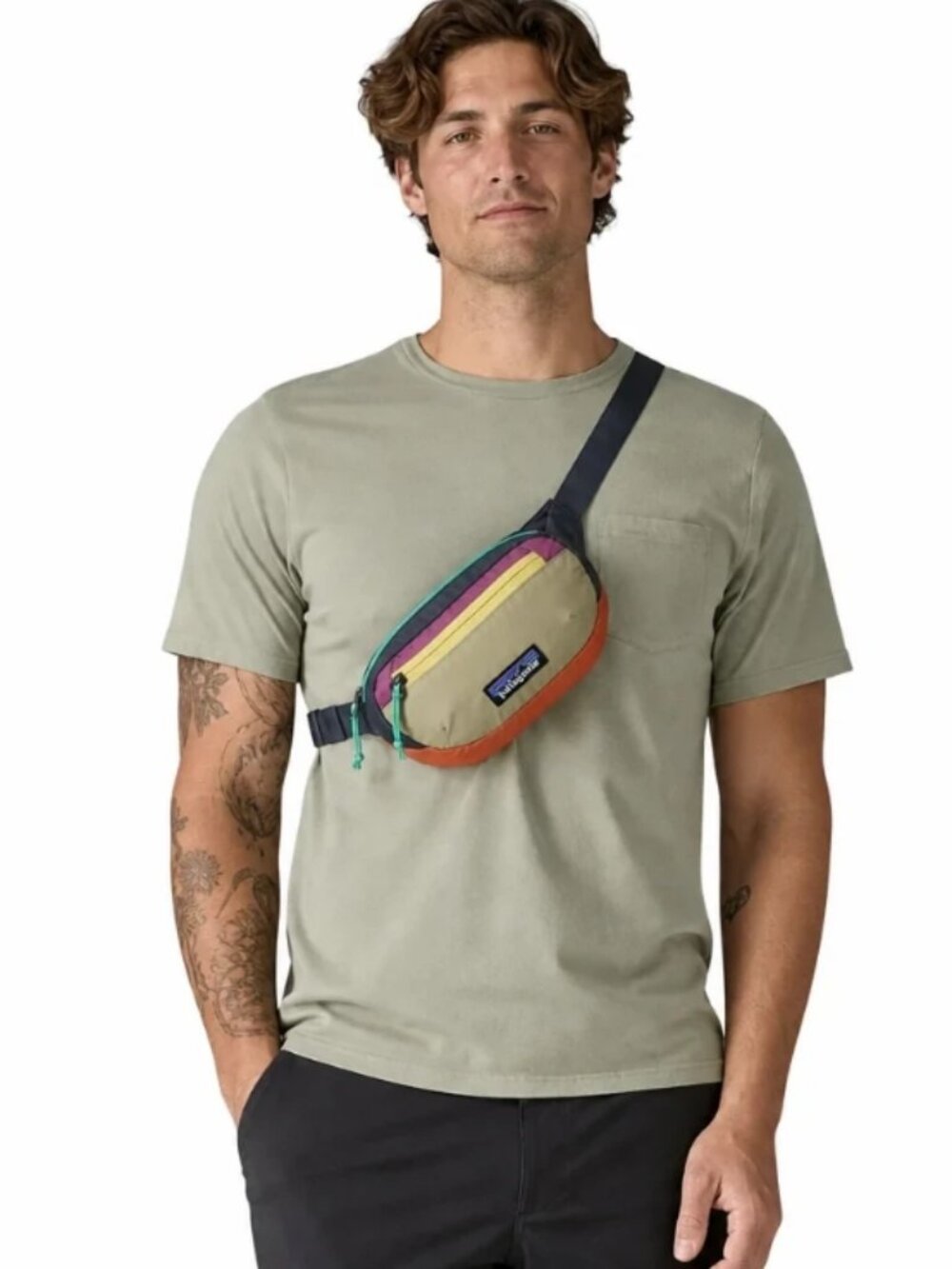 Patagonia Terravia Mini Hip Pack Pacthwork Gumtree Green Color NWT Unisex
